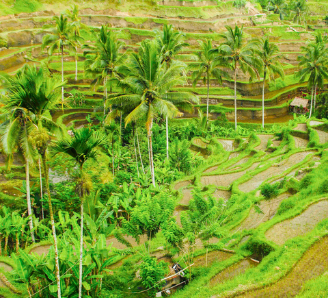 Travelers recommend