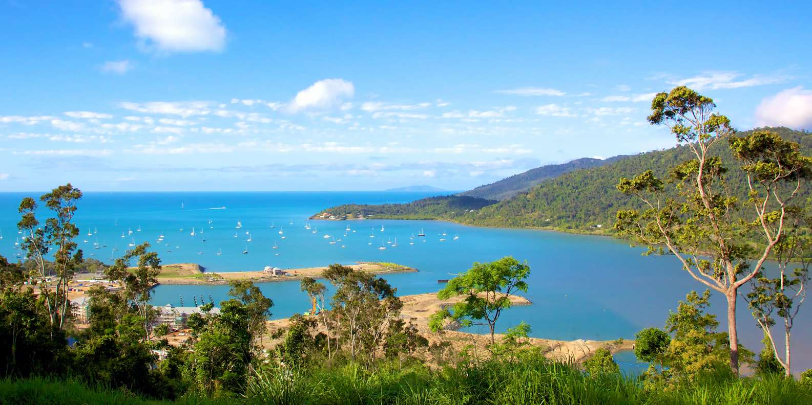 The BEST Airlie Beach For first time visitors 2023  FREE Cancellation