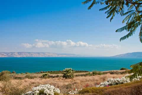 Sea of Galilee, Galilee - Book Tickets & Tours