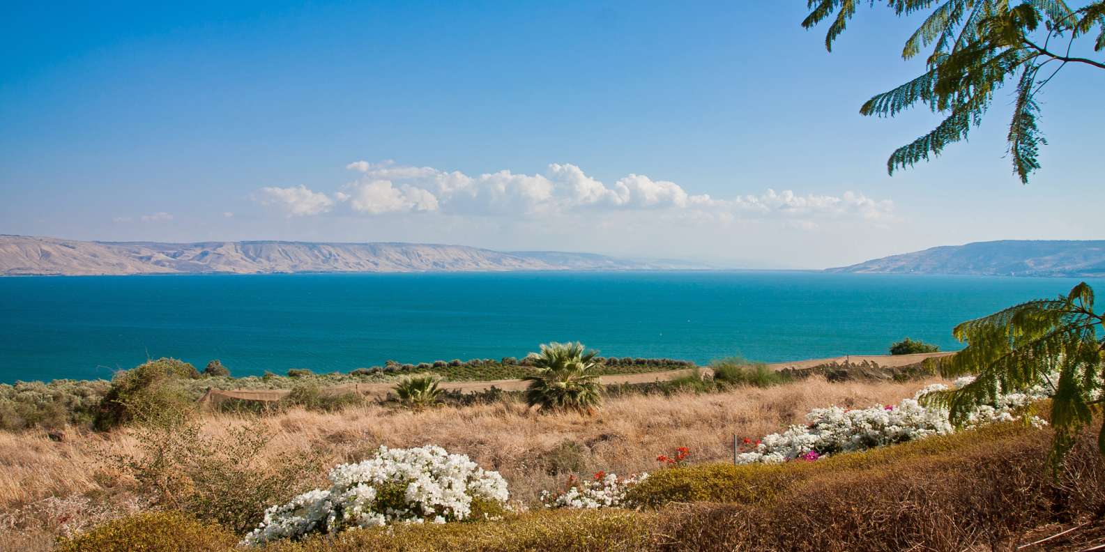 the best galilee tours and things to do in 2023 - free