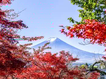 Hakone Hakone
