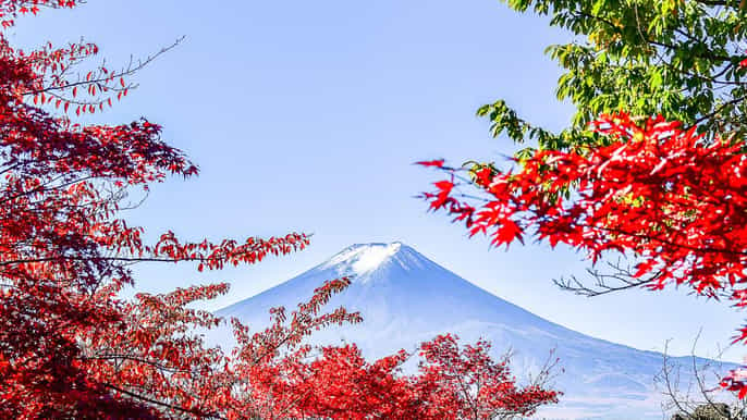 10 Best Day Trips From Hakone 21 Info Tickets Getyourguide