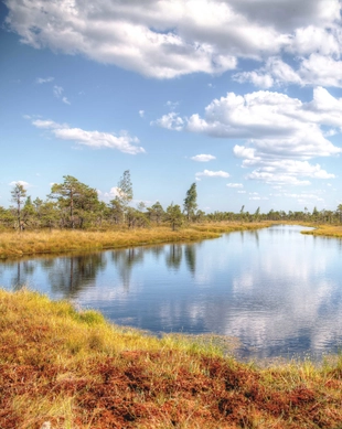 Kemeri National Park