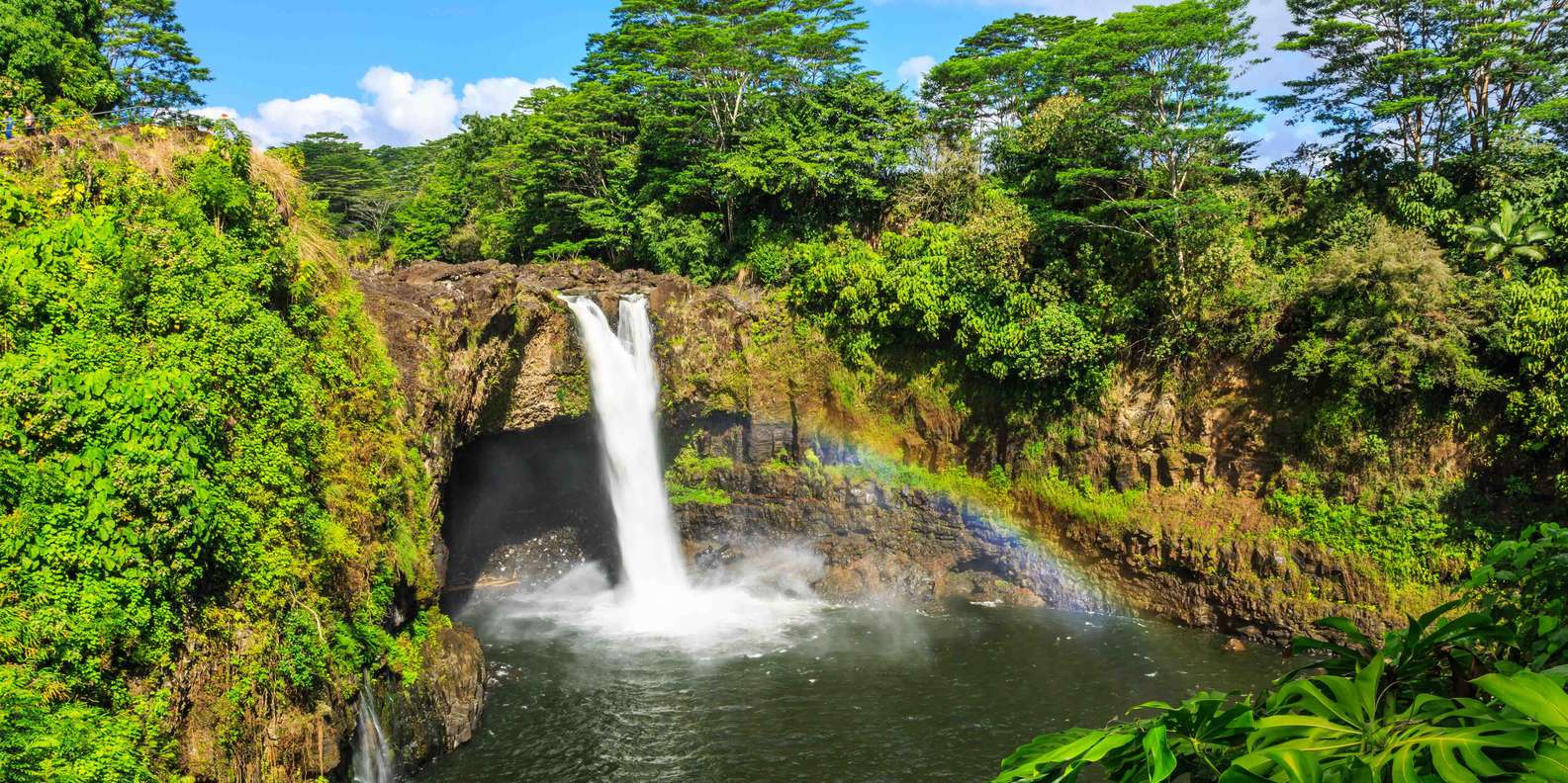 tours in hilo hawaii