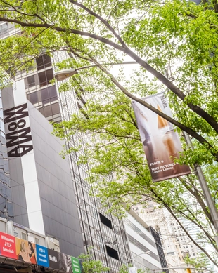 Museum of Modern Art (MoMA)