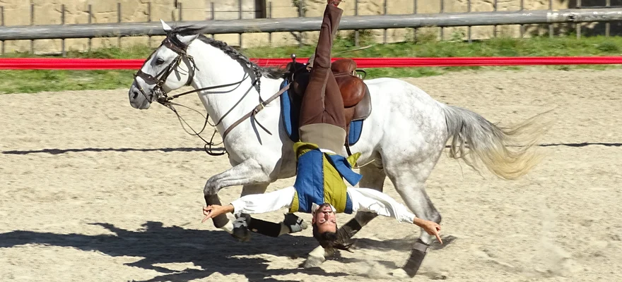 Puy du Fou