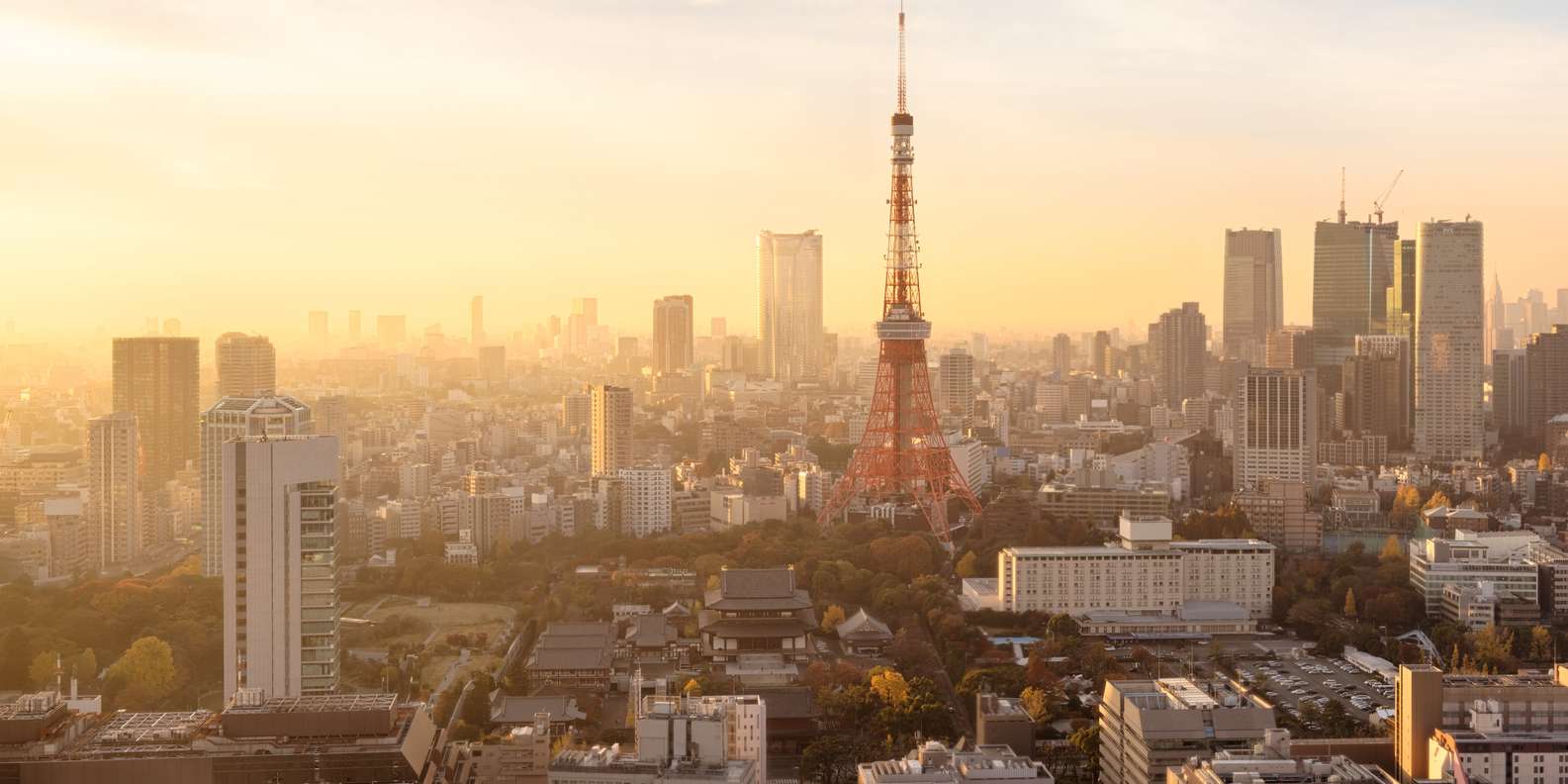 六本木ヒルズ展望台 TOKYO CITY VIEW チケット 入場券 東京観光