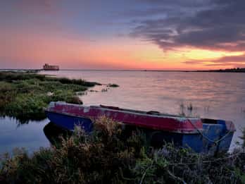 Ria Formosa Tours & Tickets
