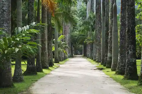 10. Botanischer Garten Rio de Janeiro
