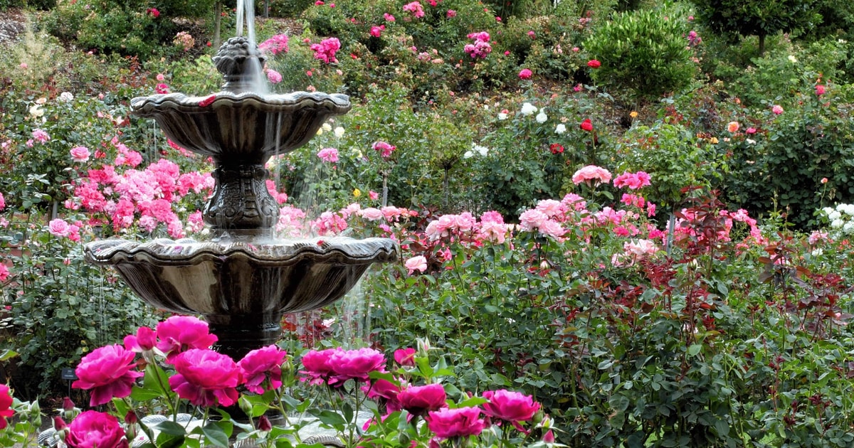 International Rose Test Garden, Portland, Oregon Book Tickets & Tours