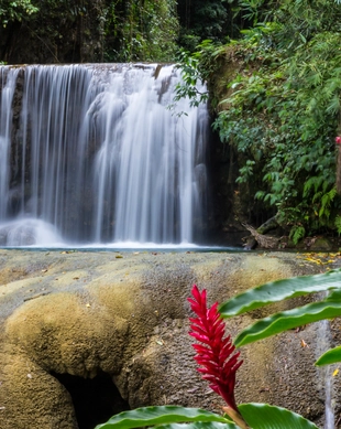 YS Falls
