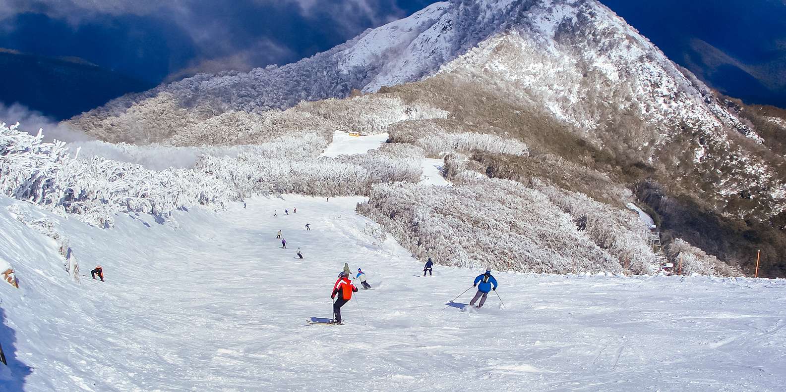 The BEST Mount Buller Summer activities 2023 FREE Cancellation GetYourGuide