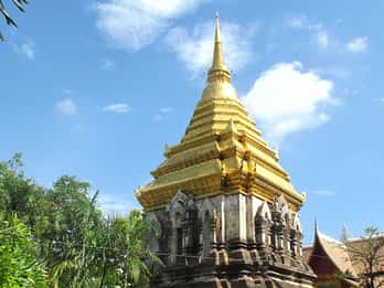 Wat Chiang Man Tours & Tickets