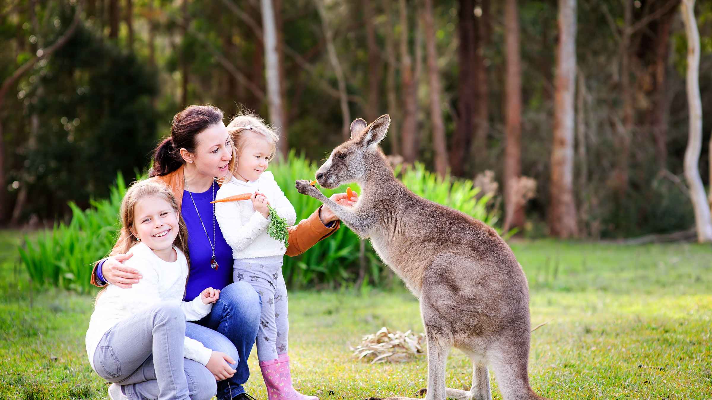 australia-zoo-tickets-getyourguide