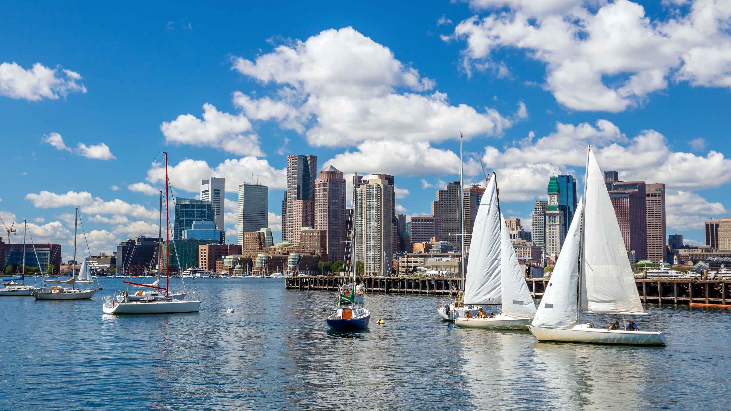 boston harbour trips