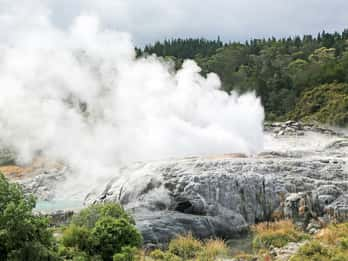 Tamaki Maori Village, Rotorua - Book Tickets & Tours | GetYourGuide