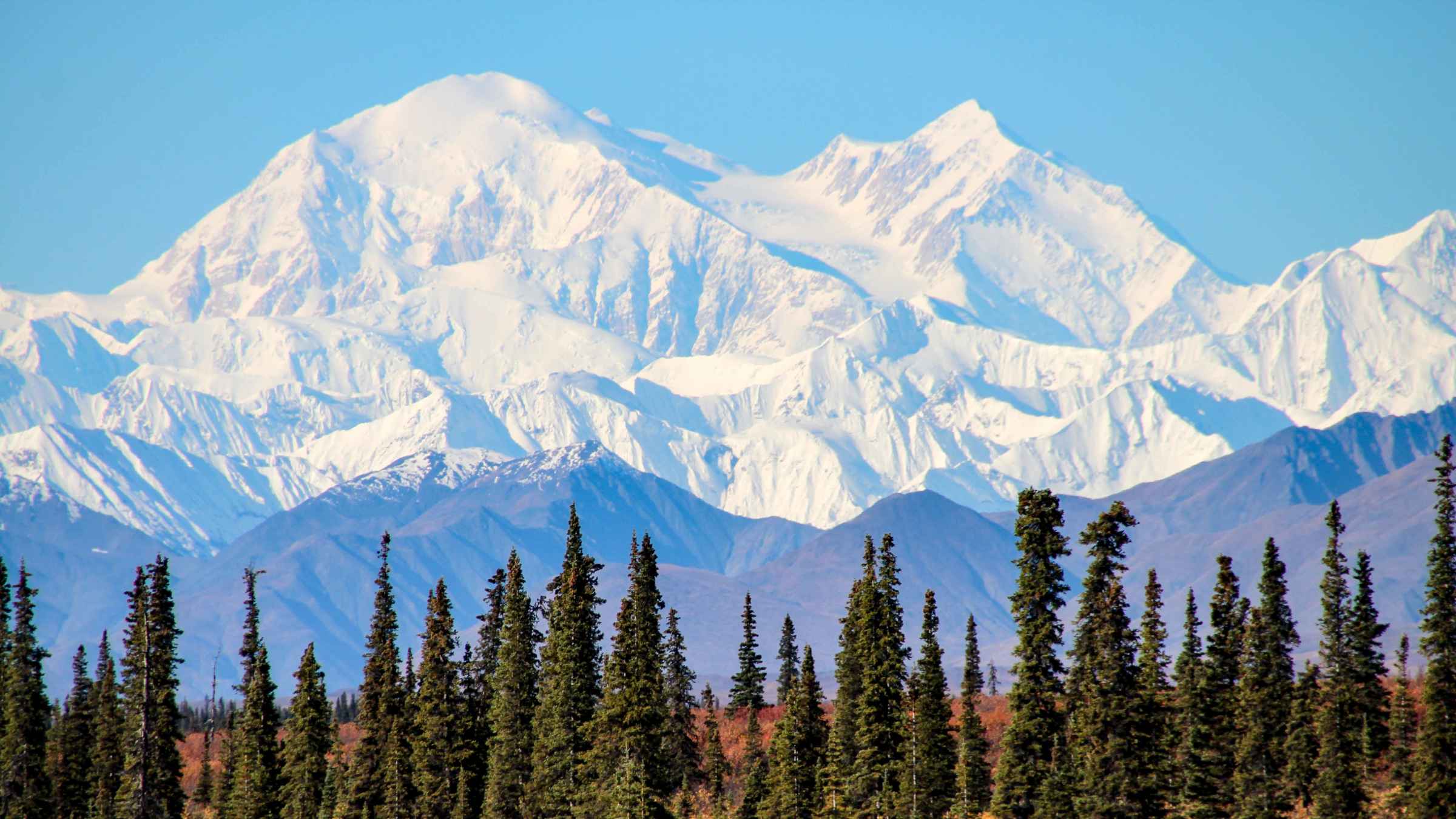 guided tours in denali national park