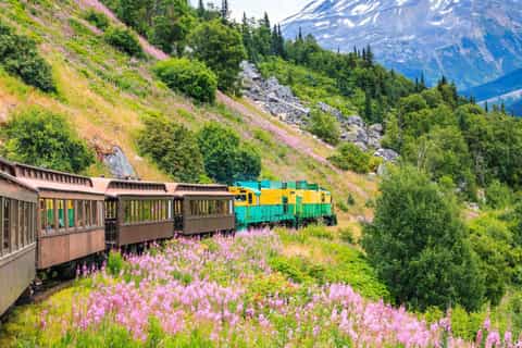 The BEST Skagway Tours and Excursions in 2026 - GetYourGuide