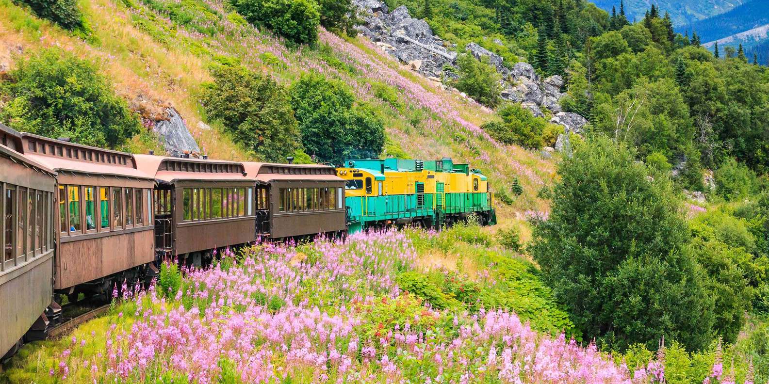 BESTE Führungen Skagway 2023 KOSTENLOS stornierbar GetYourGuide