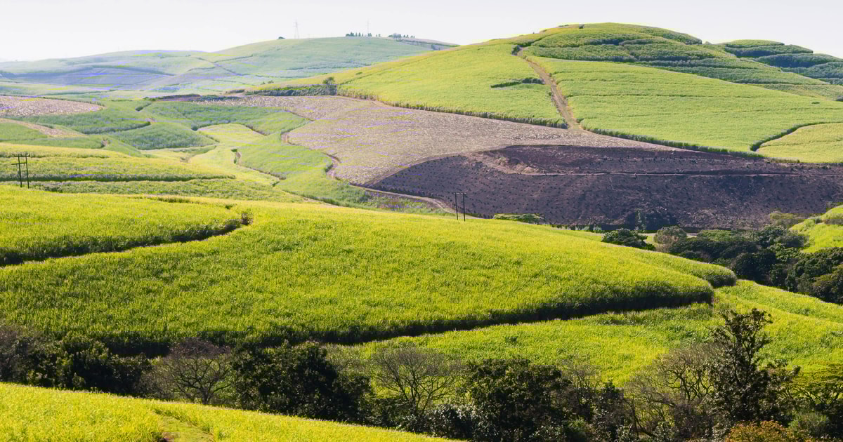 Valley of a Thousand Hills, - Book Tickets & Tours | GetYourGuide.com