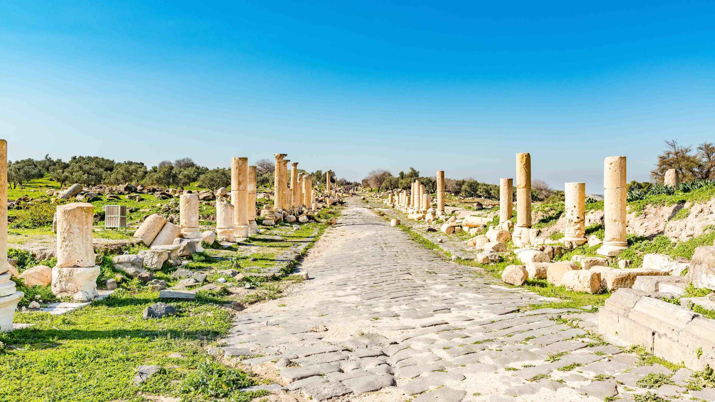Konsekvent Villig hellig Umm Qais 2022: Top 10 Tours & Activities (with Photos) - Things to Do in Umm  Qais, Jordan | GetYourGuide