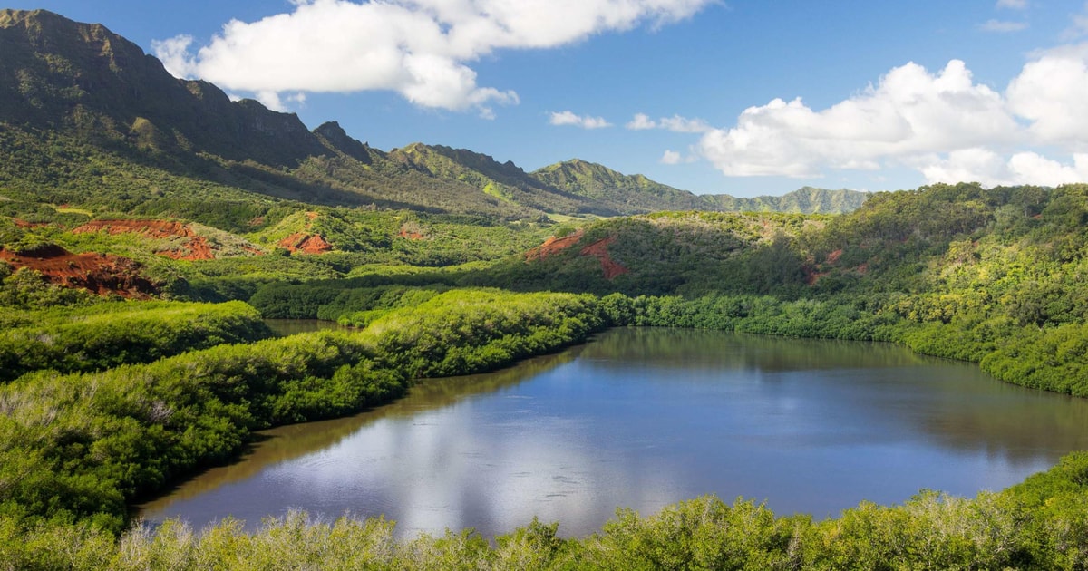 Lihue 2020: Top 10 Tours & Activities (with Photos) - Things to Do in Lihue, United States 