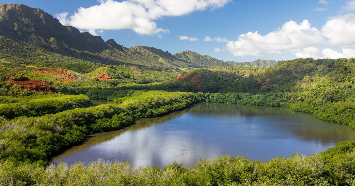 Lihue 2020 Top 10 Tours Activities with Photos Things To Do In 