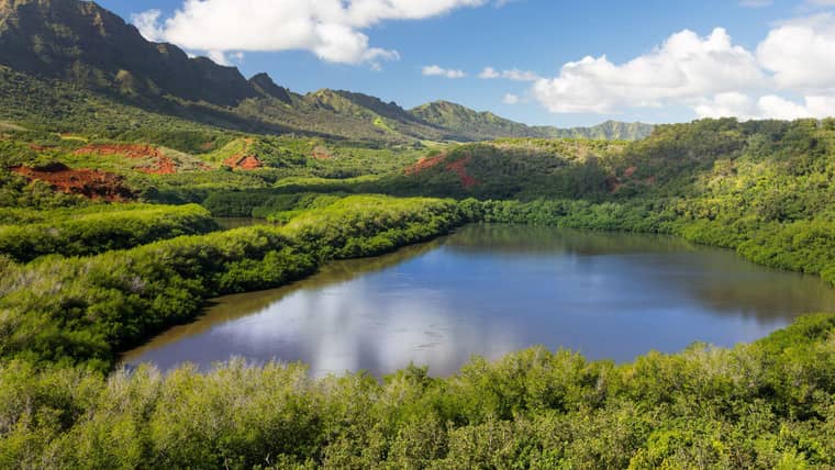 Les meilleures activités à Lihue (Kauai)