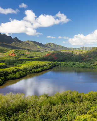 The BEST Lihue Tours and Things to Do in 2024 - FREE Cancellation ...