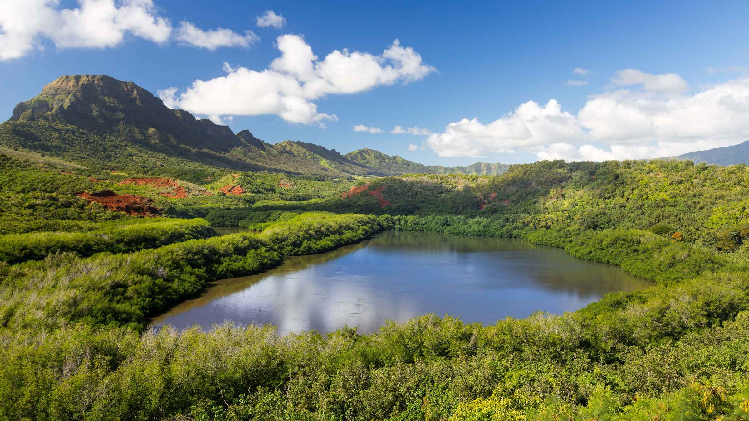 Lihue (Kauai) 2021 : Les 10 meilleures visites et activités (avec photos)  Choses à faire 