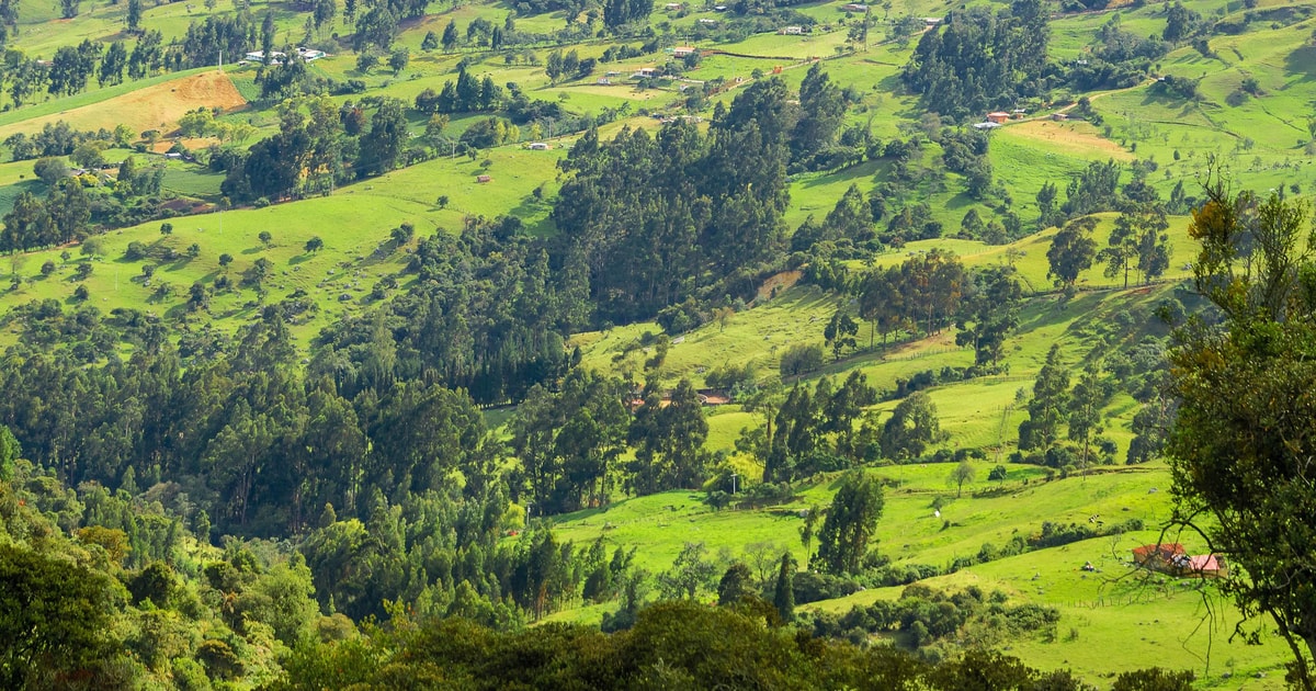 Cundinamarca 2021: Los 10 Mejores Tours Y Actividades (con Fotos ...