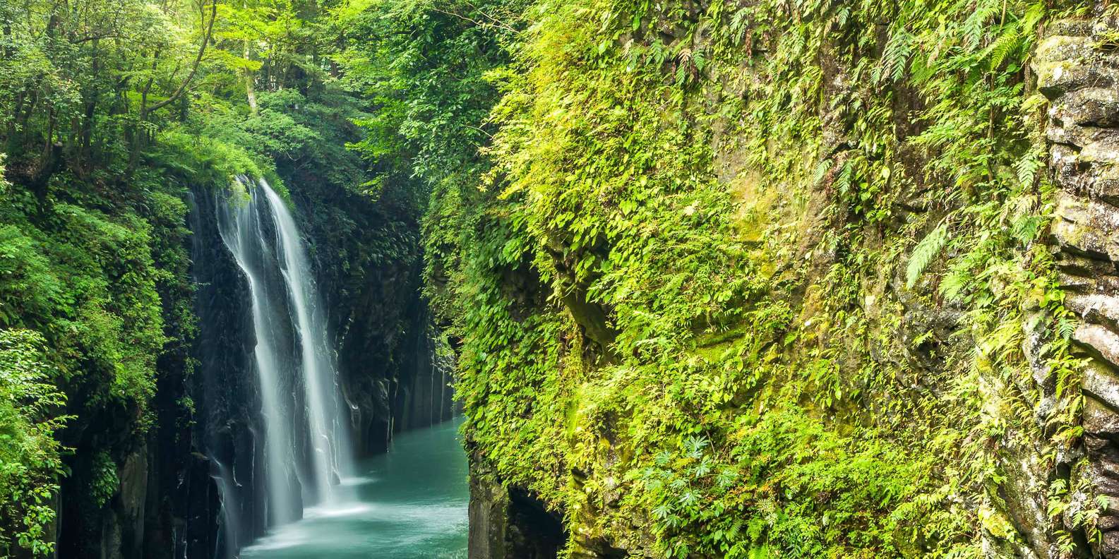 The BEST Kyushu Region, Japan Tours and Things to Do in 2023 FREE