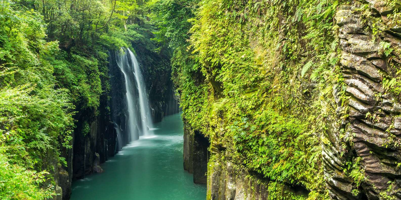 The BEST Kyushu Region Cruises & boat tours 2025 - FREE