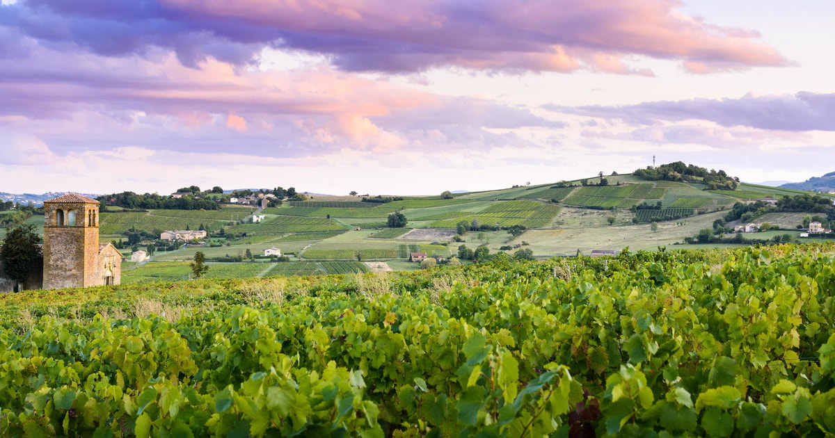 Beaujolais 2020: Top 10 Tours & Activities (with Photos) - Things to Do ...