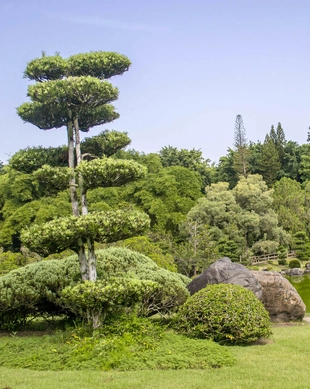 Jardim Botânico Nacional de Santo Domingo