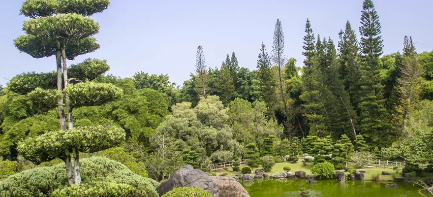 National Botanical Garden, Santo Domingo