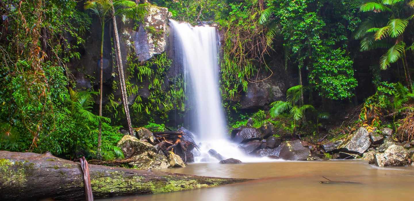 Tamborine Mountain Percorsi turistici il MEGLIO del 2024