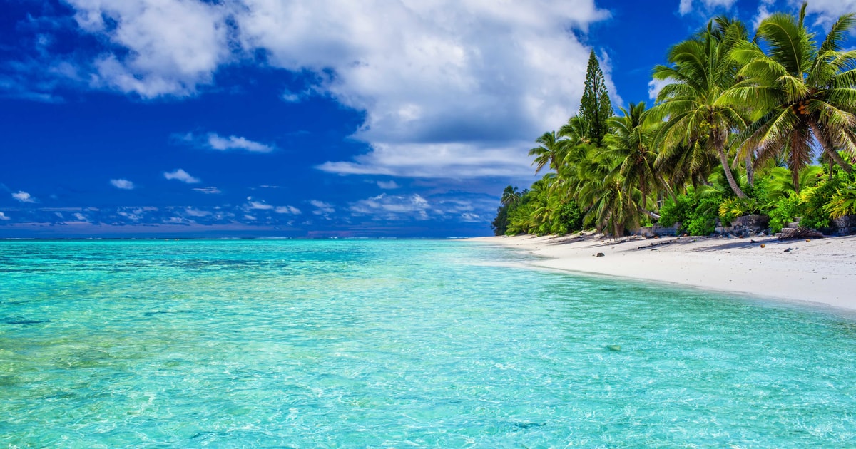 Tonga Turtle The best Rarotonga Private tours - 2026 (Verified Reviews)