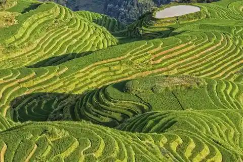 1. Rizières en terrasse de Longshen