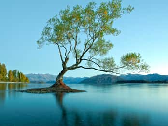 Wycieczki i Bilety do Jezioro Wanaka
