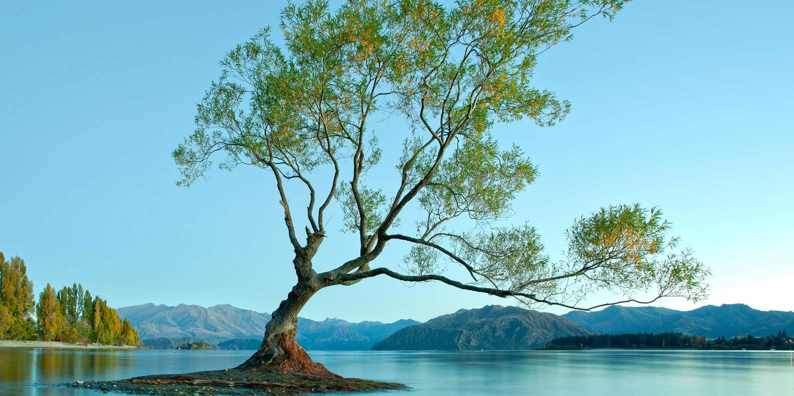 The BEST Lake Wanaka Rentals 2023 FREE Cancellation GetYourGuide