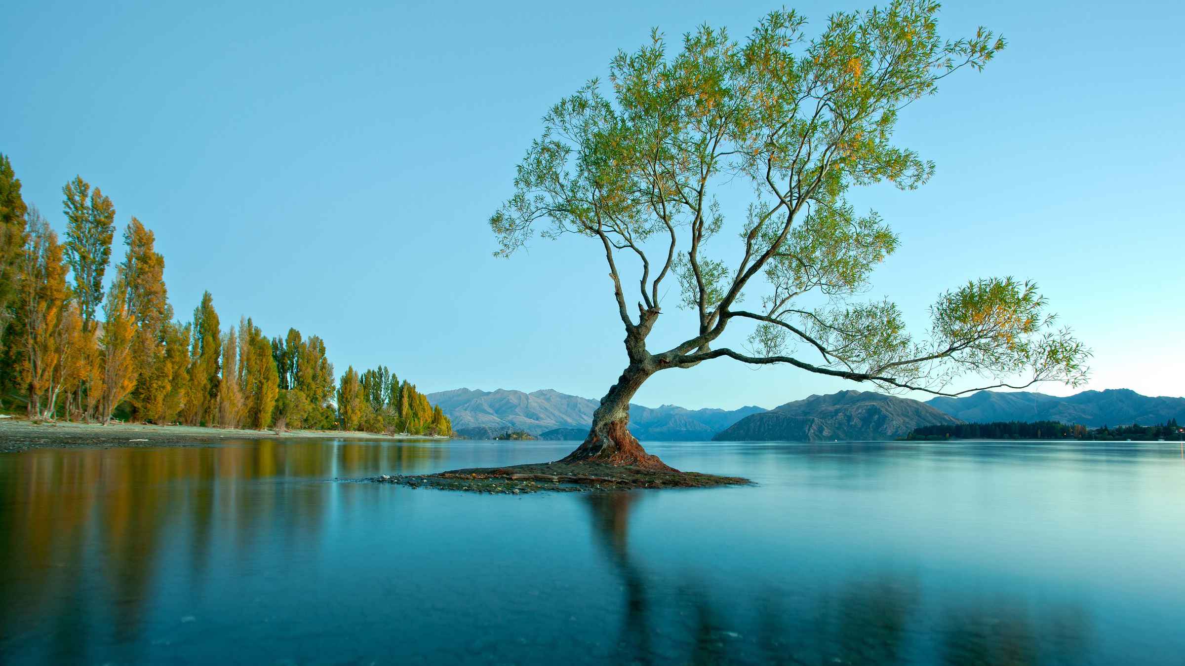 The BEST Lake Wanaka Island Tours 2021 - FREE Cancellation | GetYourGuide