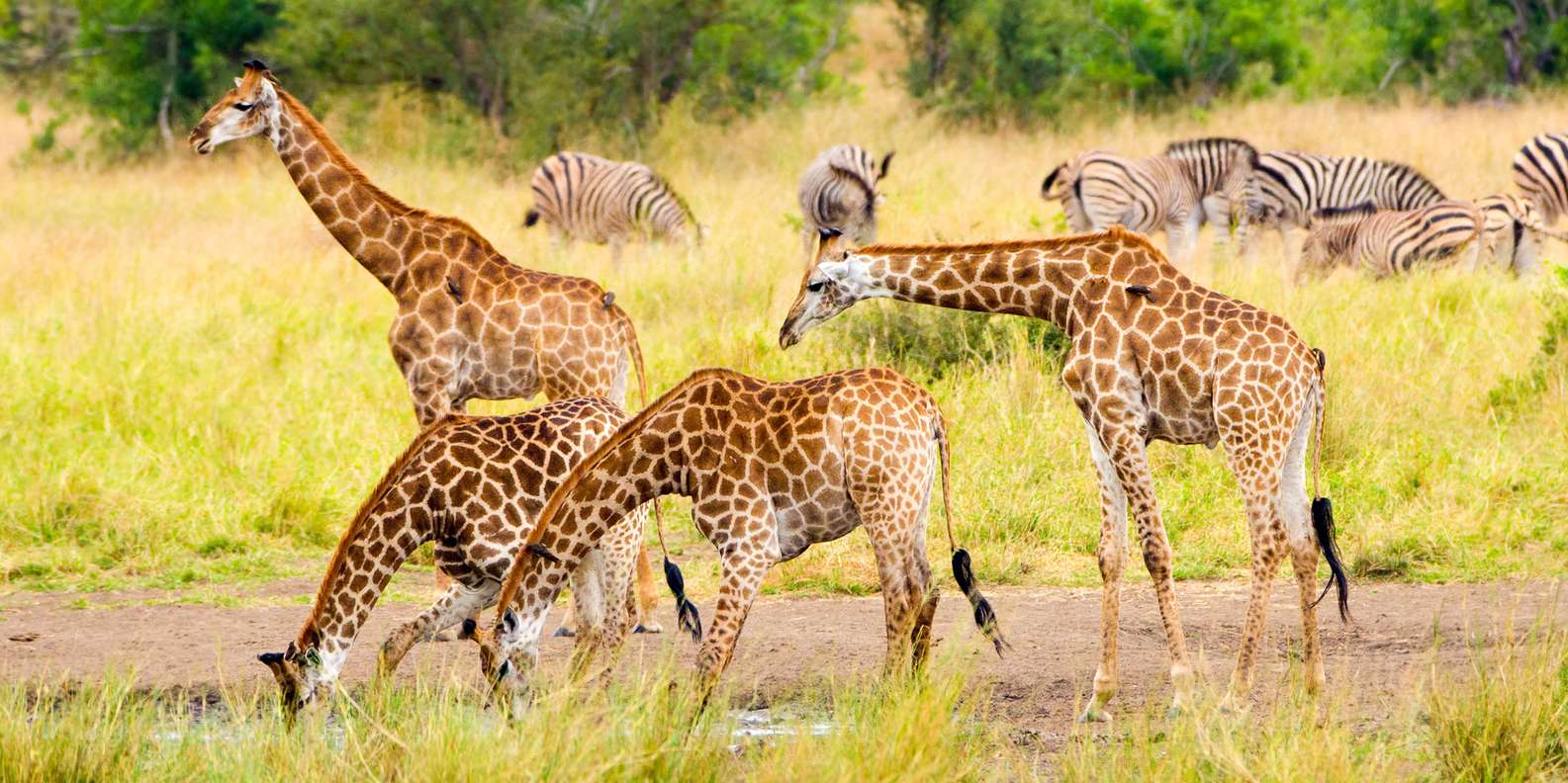 Parque Nacional Wilderness Deportes extremos y adrenalina lo MEJOR de
