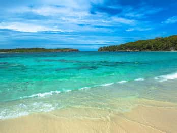 Jervis Bay Tours & Tickets