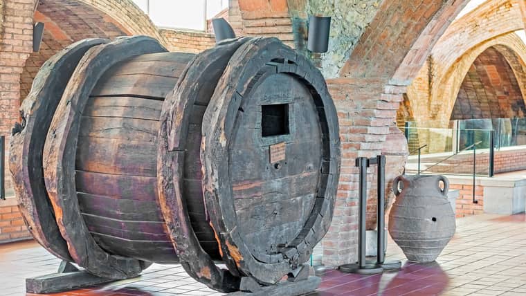 Best Activities in Sant Sadurní d&amp;#039;Anoia