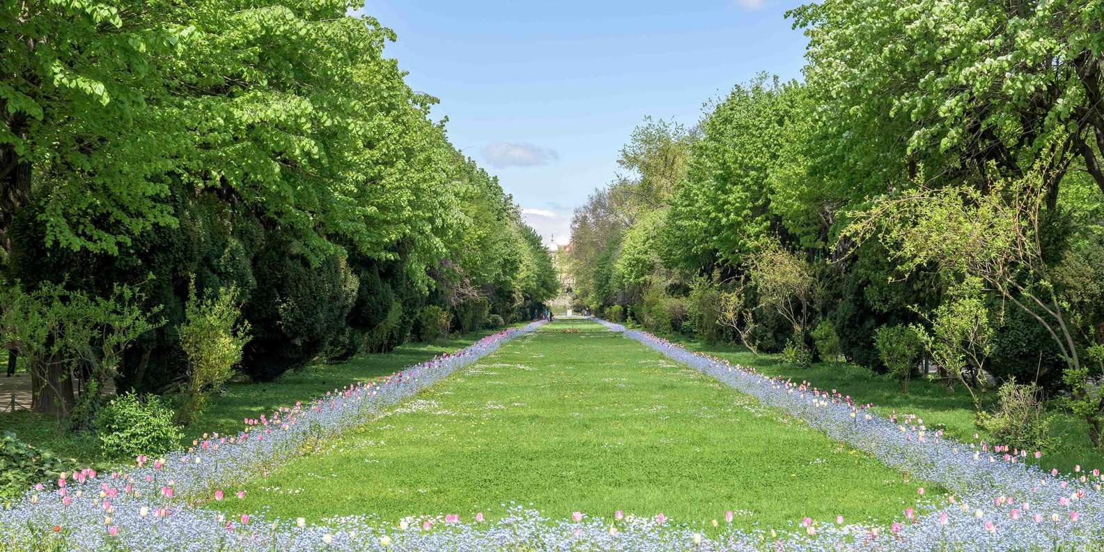 BESTE Essen und Trinken Botanischer Garten Bukarest 2024 KOSTENLOS