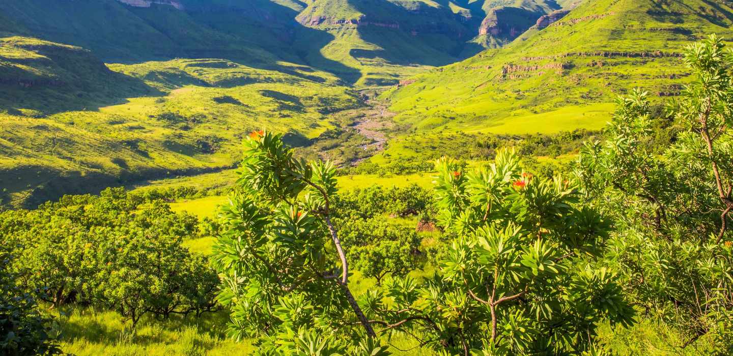 BEDSTE KwaZulu-Natal Vinsmagninger og vingårdsbesøg 2024 - GRATIS ...