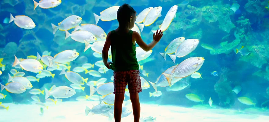 National Aquarium, Santo Domingo