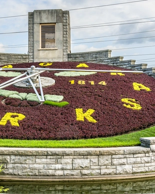 Floral Clock