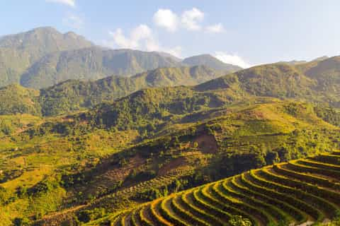 Beste Touren Im Zug Lao Cai Provinz Kostenlos Stornierbar